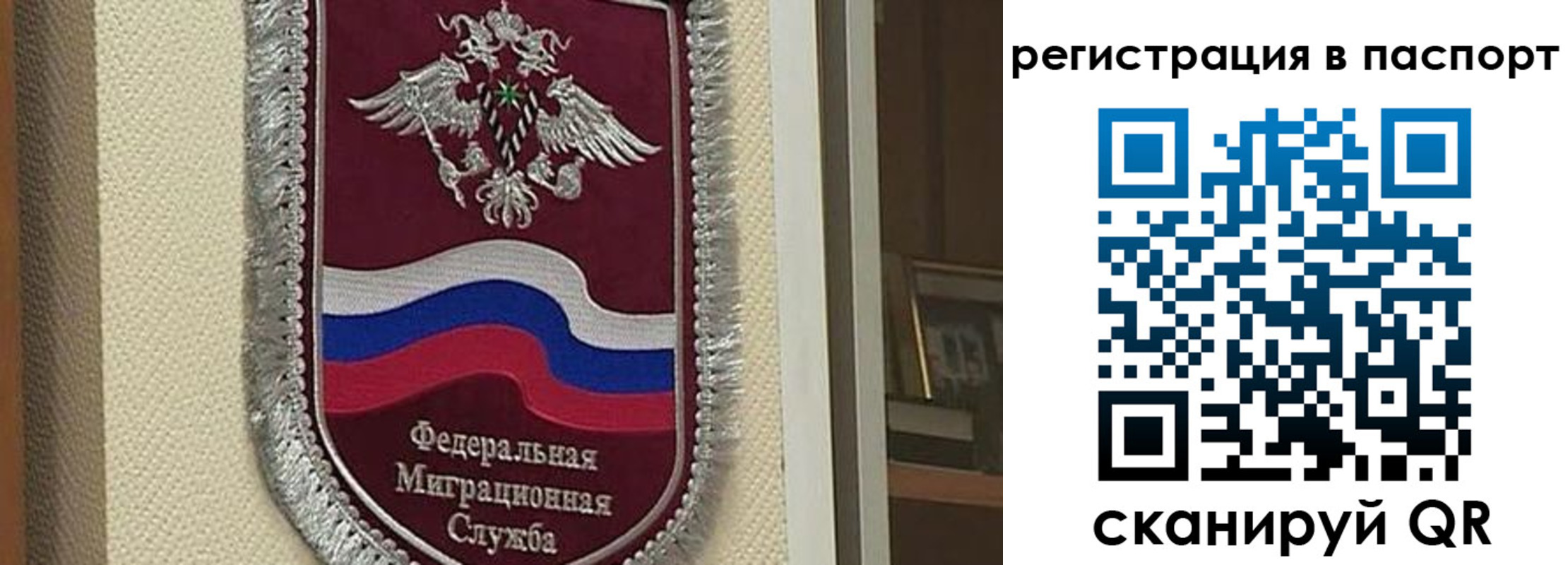 прописка законно в Александровске-Сахалинском